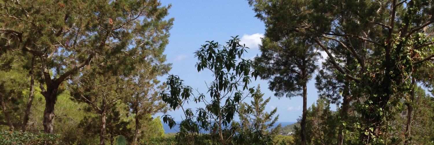 FancyOli's profile banner image