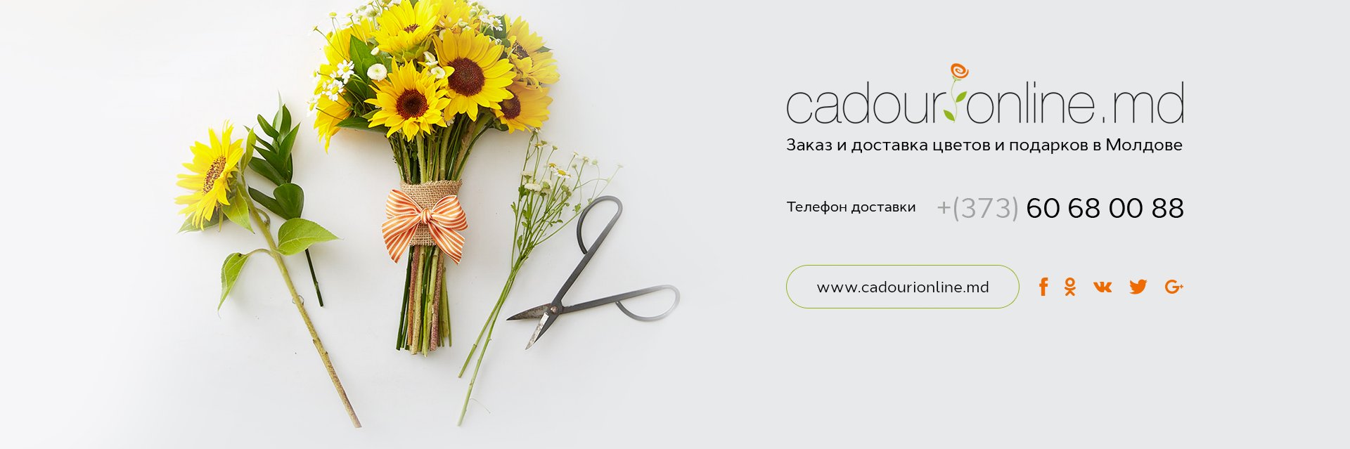 CadouriMd's profile banner image