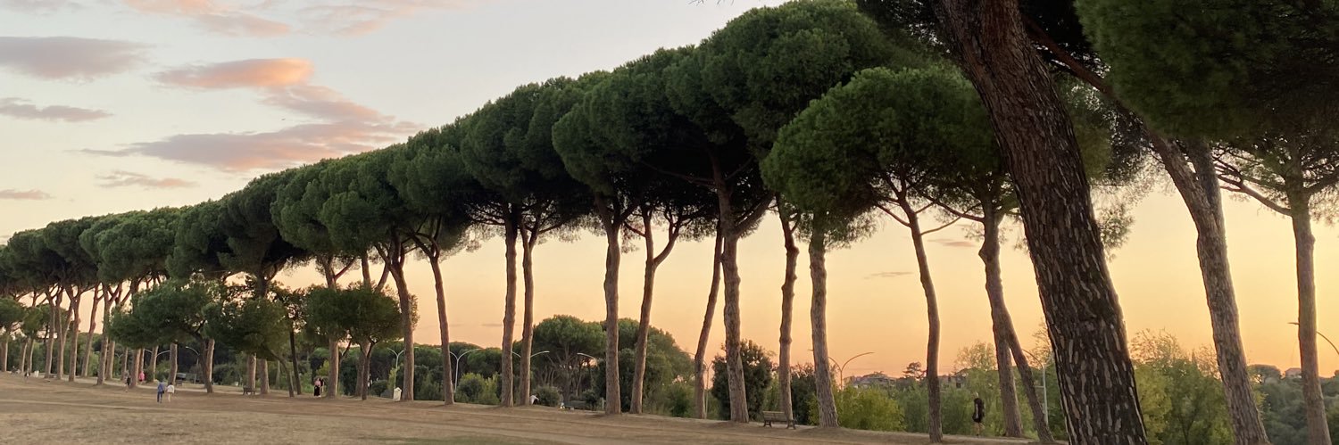 mar_requena's profile banner image
