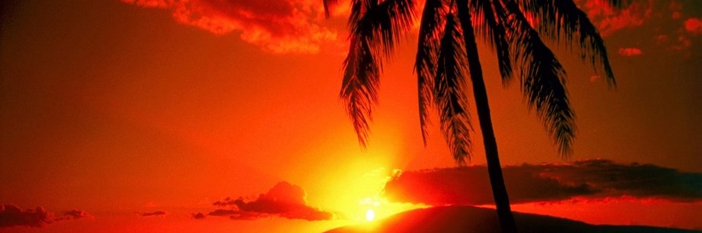 NicolGdeA's profile banner image