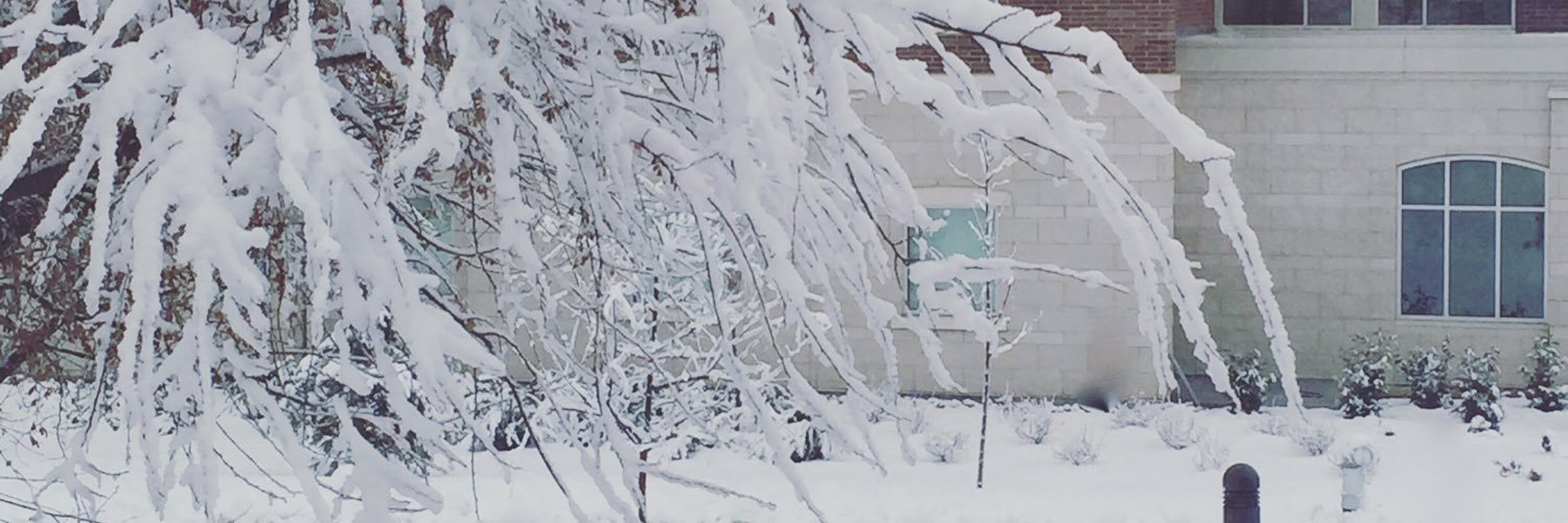 sjcurly's profile banner image