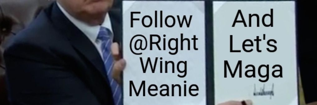 Right Wing Meanie banner