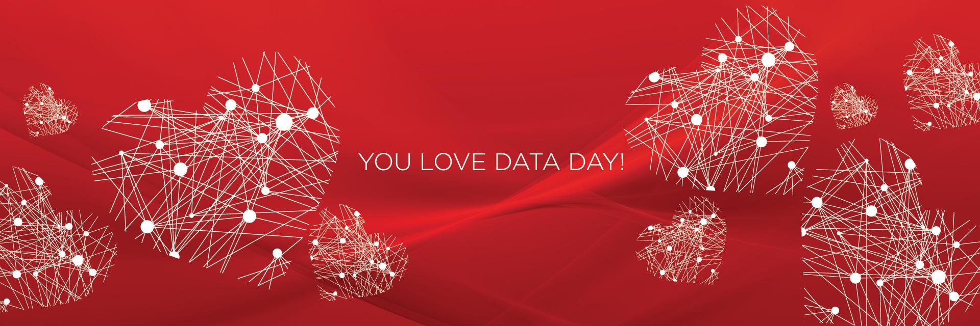 You Love Data banner