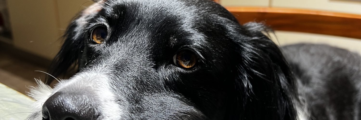 _luforte's profile banner image