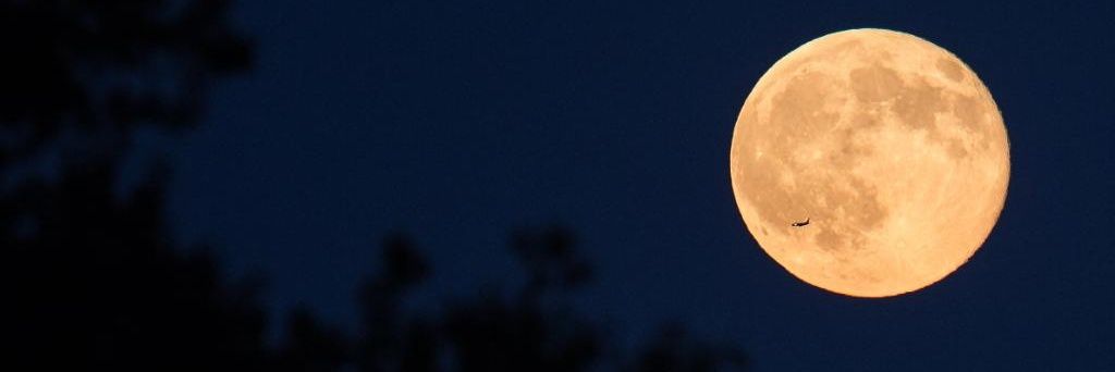 Yaxwi_Adam's profile banner image