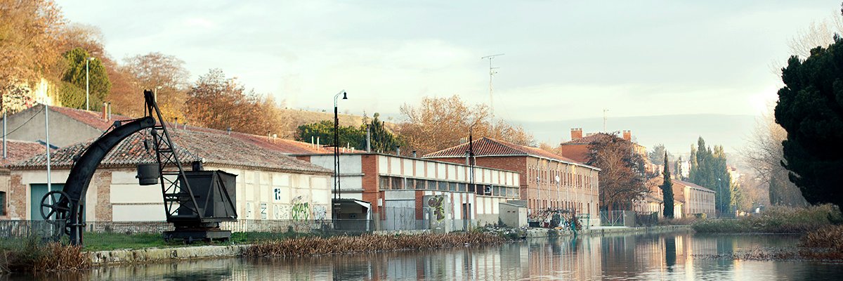 Alfonso banner