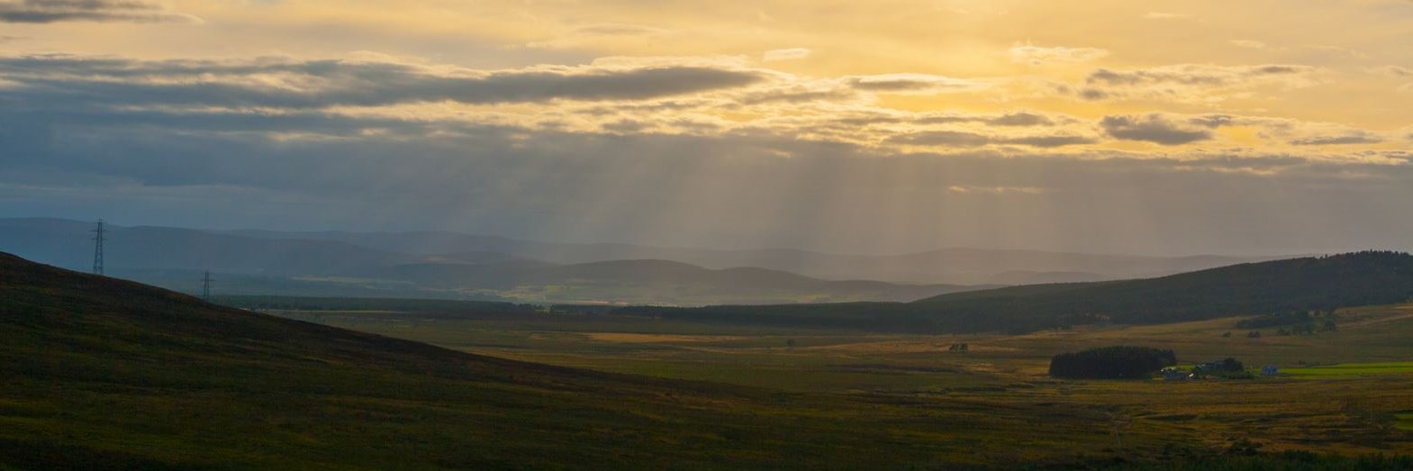 Dalgarven's profile banner image