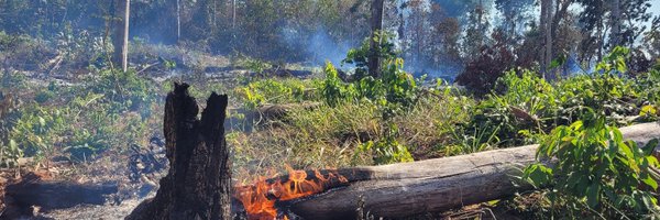 ManuMachado_Eco Profile Banner