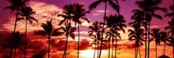 __castellar's profile banner image