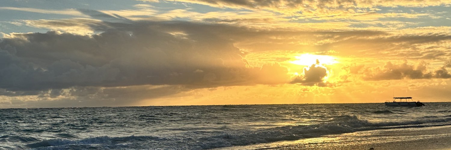 MasterDimitri39's profile banner image