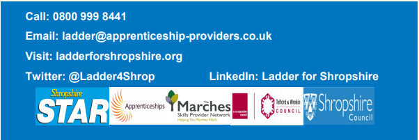 Ladder for Shropshire banner