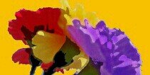 republired's profile banner image