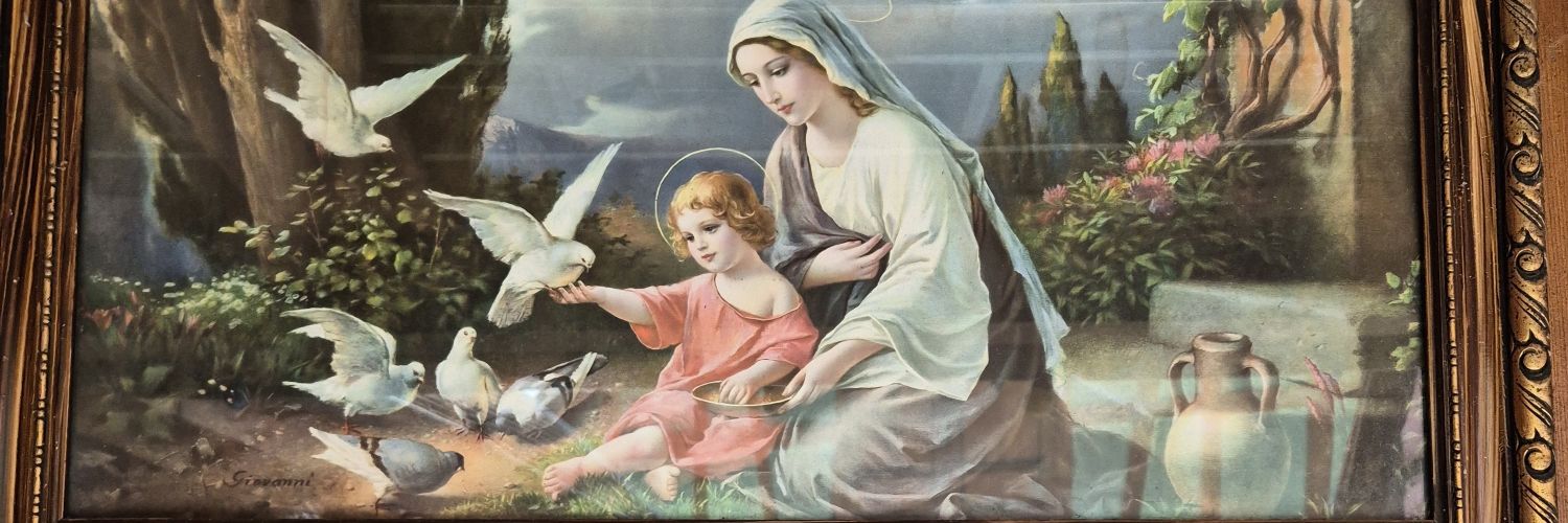 Le Polatouche De Sibérie banner