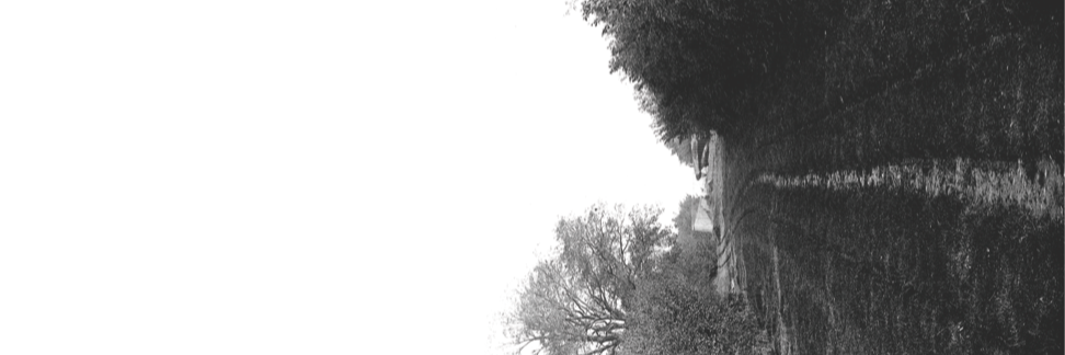 DodmenBand's profile banner image