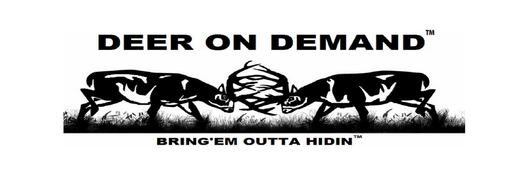 DeerOnDemand's profile banner image