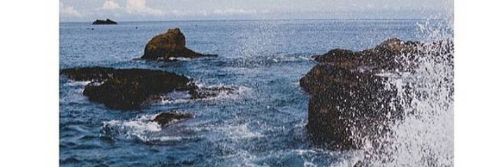 can55340663's profile banner image