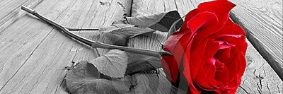 crsta67's profile banner image