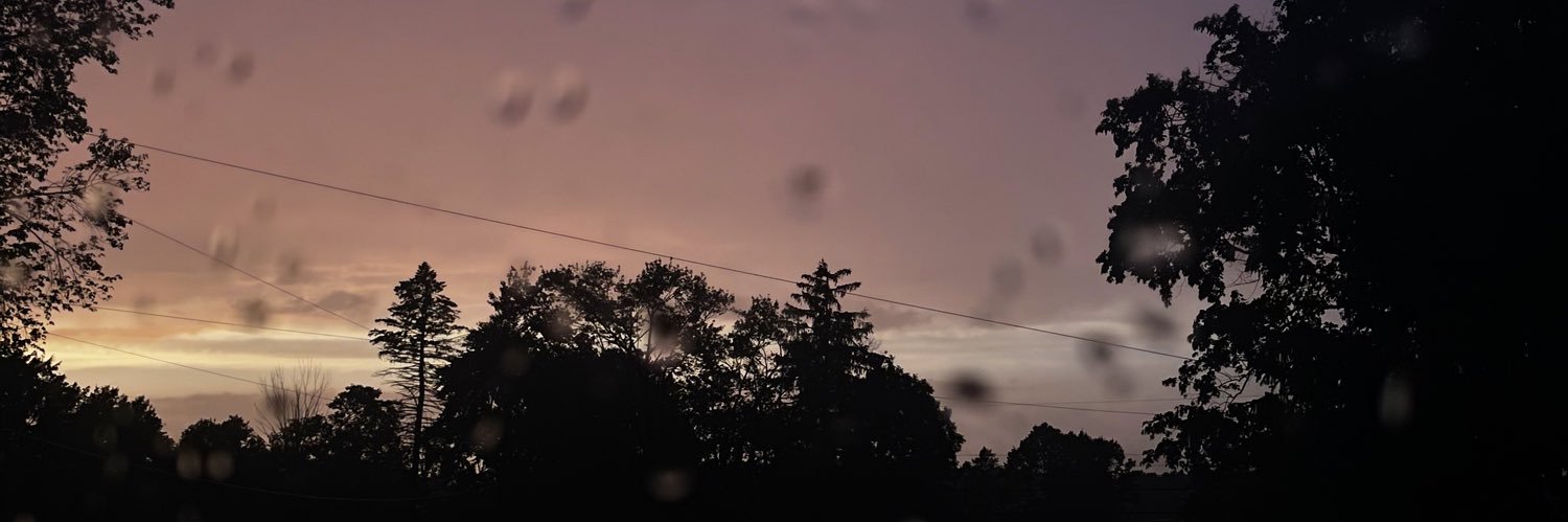 anne_kiersten's profile banner image