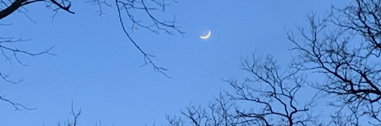 Beth Sullivan banner