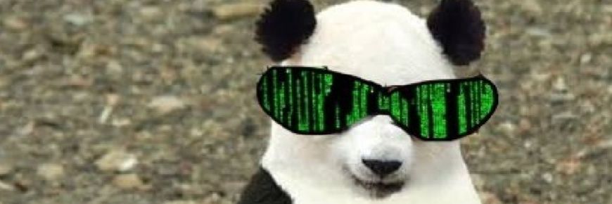 materocket 🏦 banner