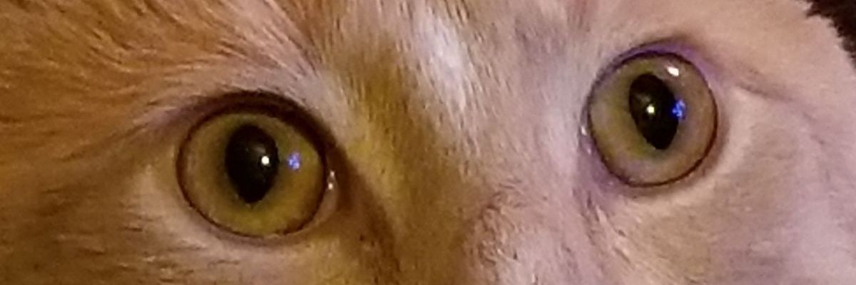 Naternaniel's profile banner image