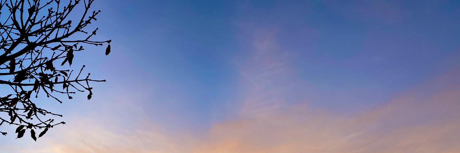 paolasuaarez's profile banner image