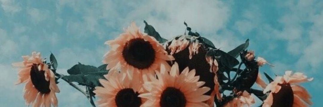 Ceciu_'s profile banner image