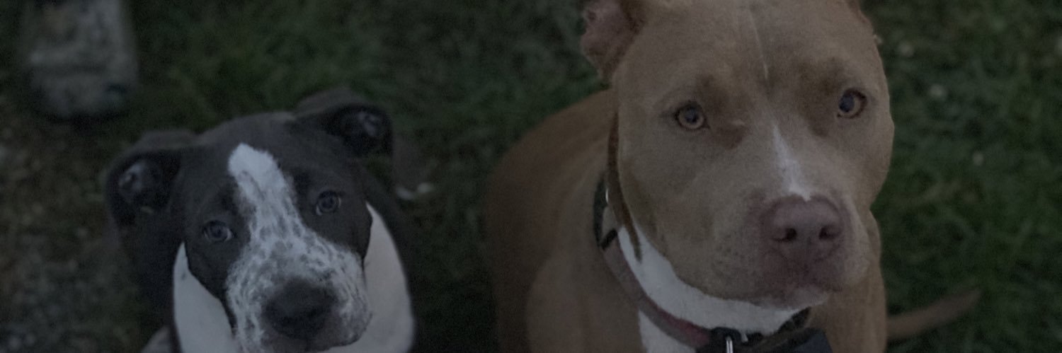 Monae_Bri's profile banner image