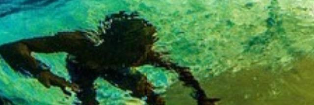 jashdwyer's profile banner image