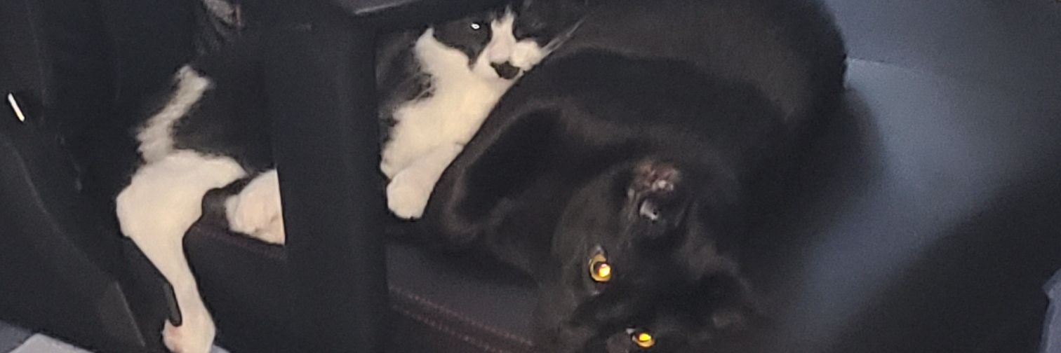 NabiSmith's profile banner image