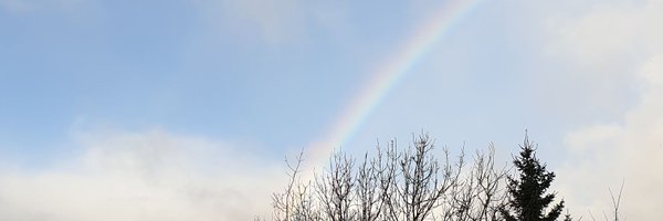 RuthLWhitney Profile Banner