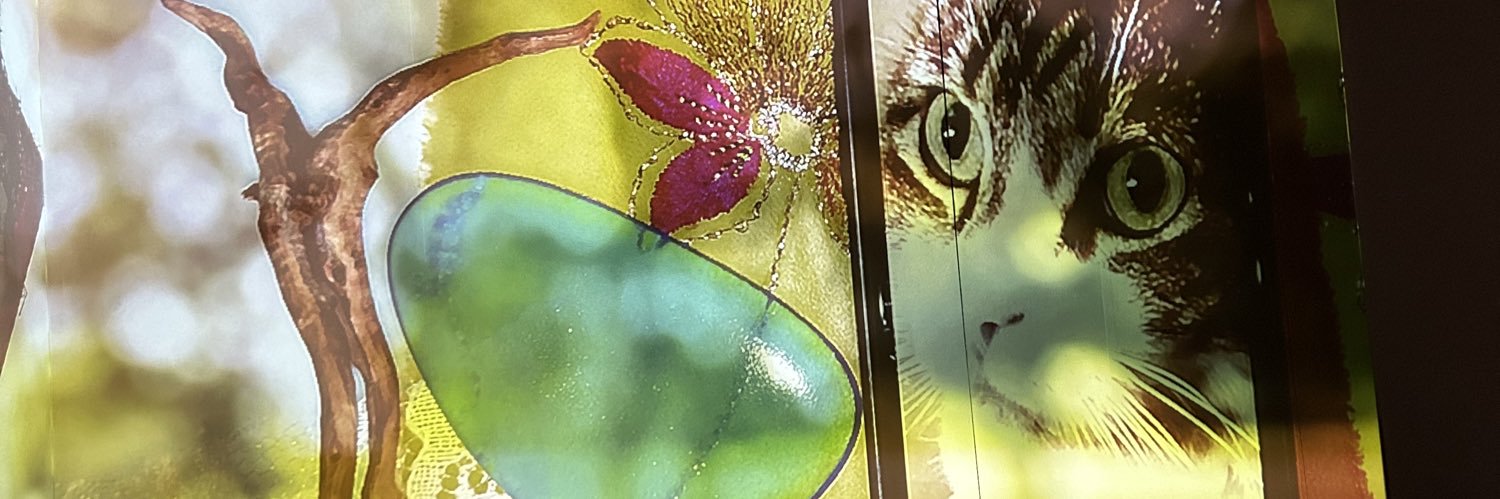 walden1029's profile banner image