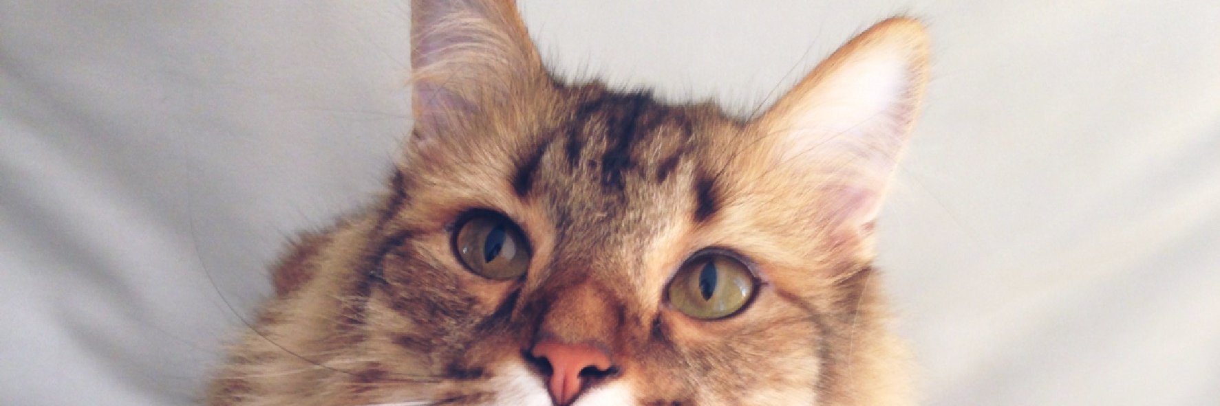 QuintanFernanda's profile banner image