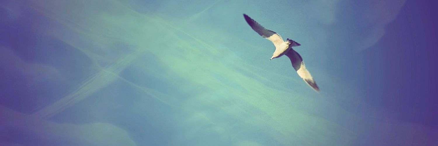 esratuncer63's profile banner image