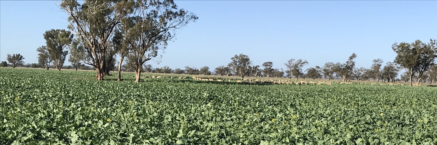 coochbaker's profile banner image