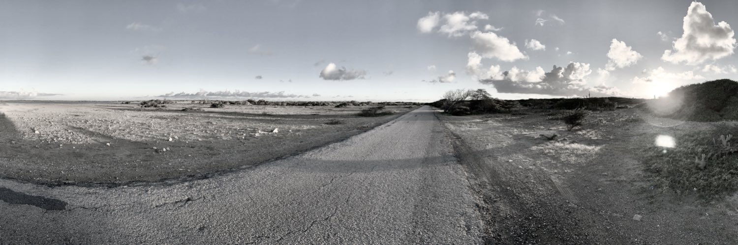 Micha Erwteman banner