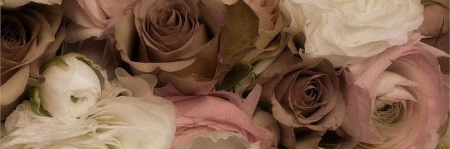 ☆ banner
