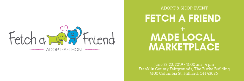 fetchafriendoh's profile banner image