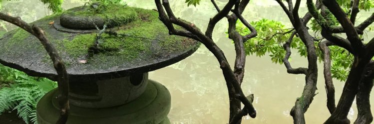 Seth_Kopald's profile banner image