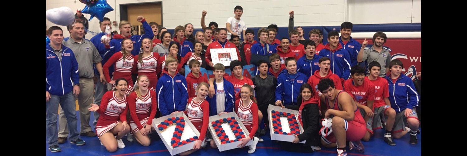 wsfalconcheer's profile banner image