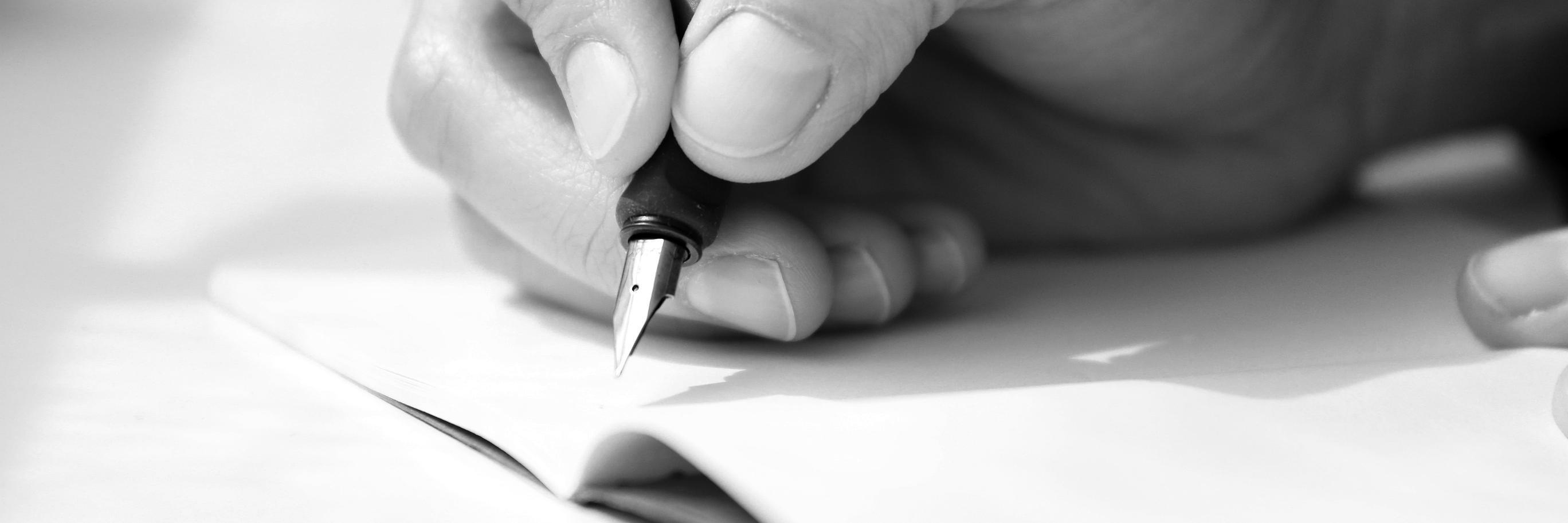 Núria Puyuelo banner