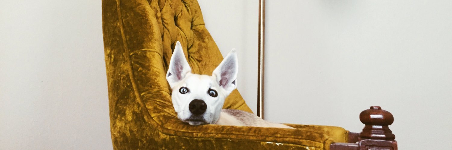 JuddThought's profile banner image