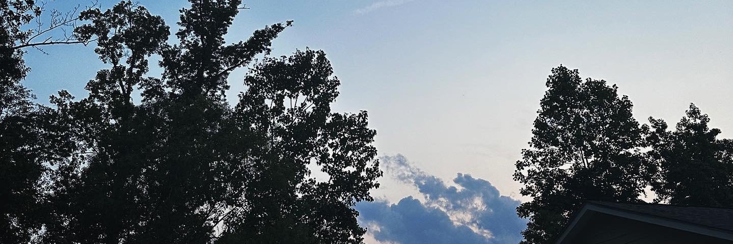morgspaigee's profile banner image