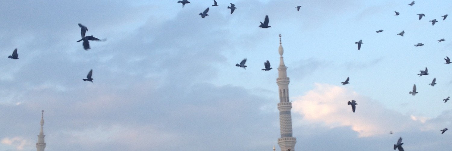 ReemALShowaier's profile banner image