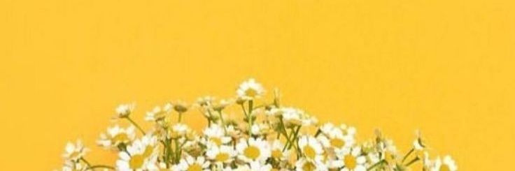 nathdcp's profile banner image