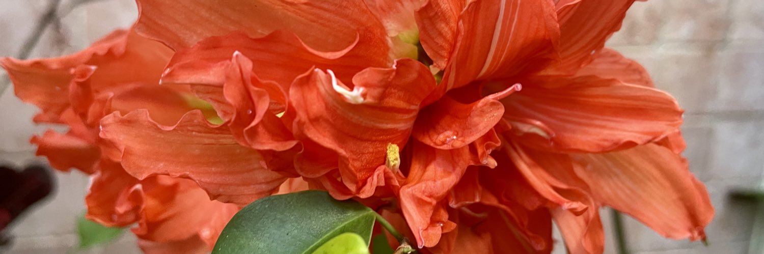 hfiguero's profile banner image