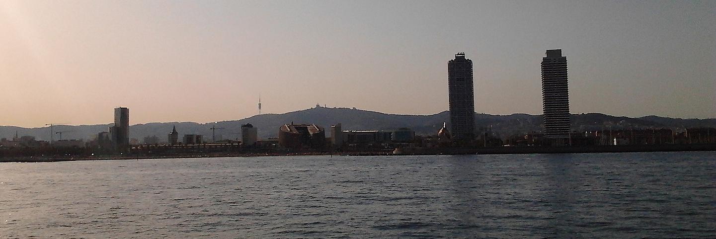 Áurea Martín banner