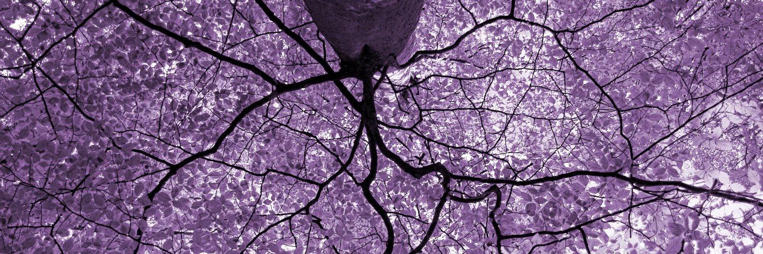 Jeremy Barrell banner