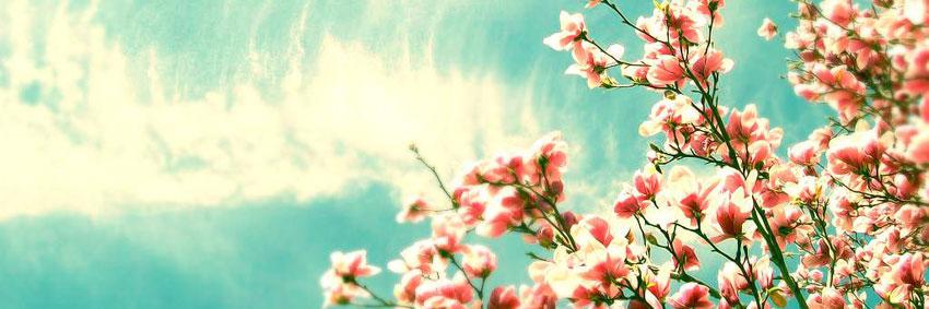 MixsAngie's profile banner image
