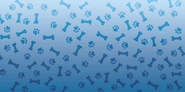 AnimalsFashion1's profile banner image